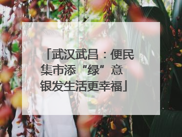 武汉武昌：便民集市添“绿”意 银发生活更幸福