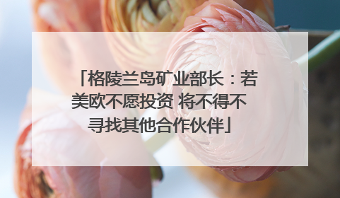 格陵兰岛矿业部长：若美欧不愿投资 将不得不寻找其他合作伙伴