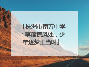 株洲市南方中学：笔落惊风处，少年逐梦正当时