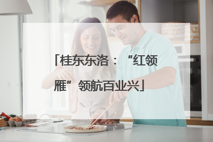 桂东东洛：“红领雁”领航百业兴