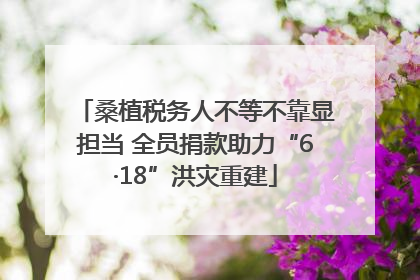 桑植税务人不等不靠显担当 全员捐款助力“6·18”洪灾重建
