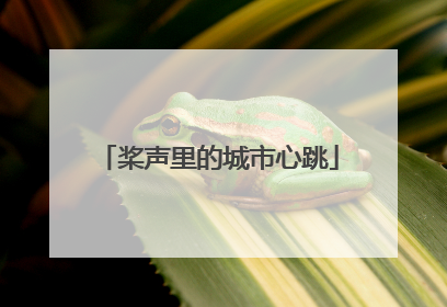桨声里的城市心跳