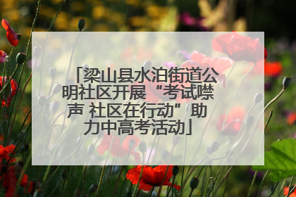 梁山县水泊街道公明社区开展“考试噤声 社区在行动”助力中高考活动
