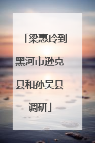 梁惠玲到黑河市逊克县和孙吴县调研
