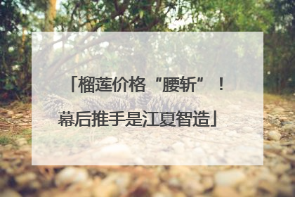 榴莲价格“腰斩”！幕后推手是江夏智造