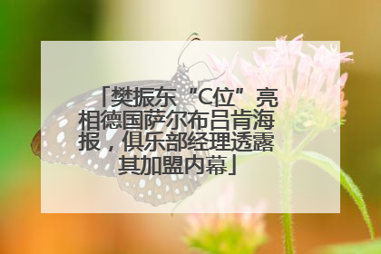 樊振东“C位”亮相德国萨尔布吕肯海报，俱乐部经理透露其加盟内幕