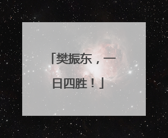 樊振东，一日四胜！