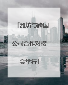 潍坊与跨国公司合作对接会举行