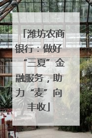 潍坊农商银行：做好“三夏”金融服务，助力“麦”向丰收