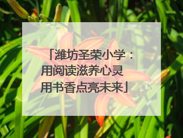 潍坊圣荣小学：用阅读滋养心灵 用书香点亮未来
