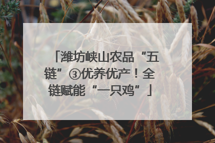 潍坊峡山农品“五链”③优养优产！全链赋能“一只鸡”