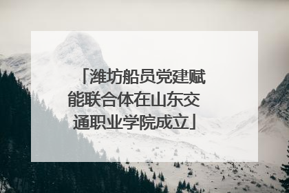 潍坊船员党建赋能联合体在山东交通职业学院成立