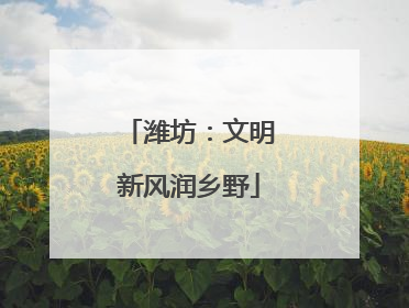 潍坊：文明新风润乡野