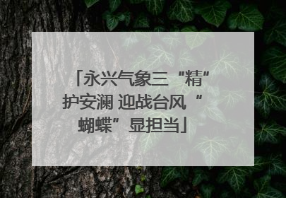永兴气象三“精”护安澜 迎战台风“蝴蝶”显担当