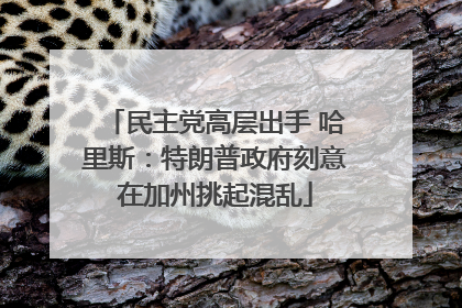 民主党高层出手 哈里斯：特朗普政府刻意在加州挑起混乱