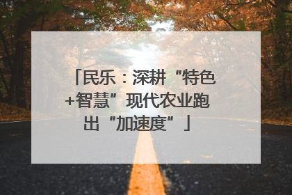 民乐：深耕“特色+智慧”现代农业跑出“加速度”