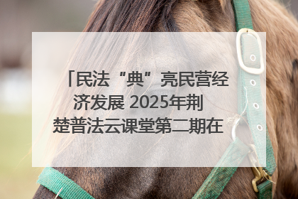民法“典”亮民营经济发展 2025年荆楚普法云课堂第二期在武汉客厅开讲