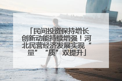 民间投资保持增长 创新动能持续增强！河北民营经济发展实现“量”“质”双提升