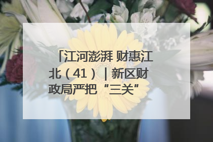 江河澎湃 财惠江北（41）｜新区财政局严把“三关” 绘就“良田美景”