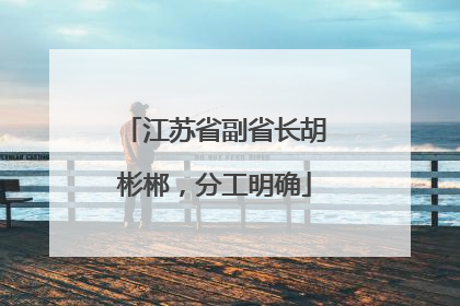 江苏省副省长胡彬郴，分工明确