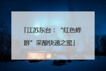 江苏东台：“红色蜂群”采酿快递之蜜