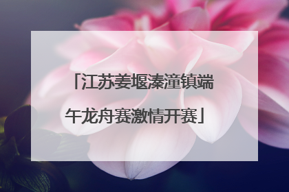 江苏姜堰溱潼镇端午龙舟赛激情开赛