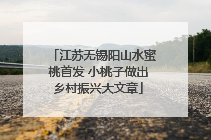 江苏无锡阳山水蜜桃首发 小桃子做出乡村振兴大文章