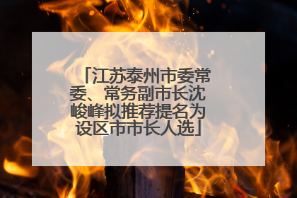 江苏泰州市委常委、常务副市长沈峻峰拟推荐提名为设区市市长人选