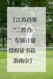 江苏首张“二检合一”专项计量授权证书花落南京