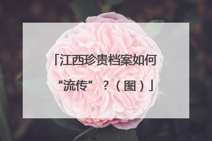 江西珍贵档案如何“流传”？（图）