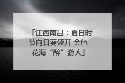 江西南昌：夏日时节向日葵盛开 金色花海“醉”游人