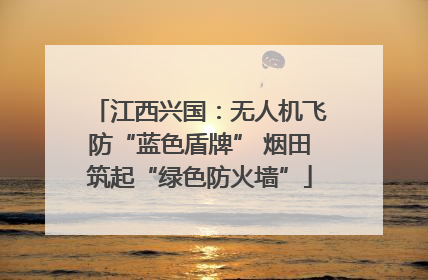 江西兴国：无人机飞防“蓝色盾牌” 烟田筑起“绿色防火墙”