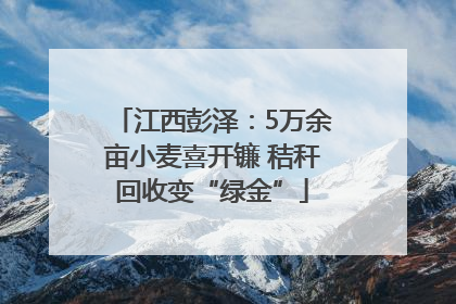 江西彭泽：5万余亩小麦喜开镰 秸秆回收变“绿金”