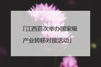 江西首次举办国家级产业转移对接活动