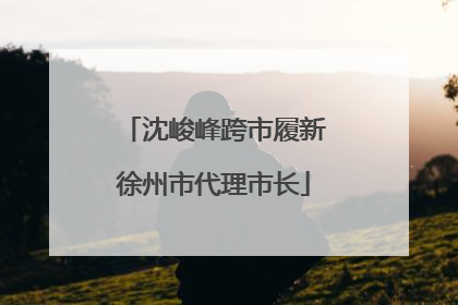 沈峻峰跨市履新徐州市代理市长