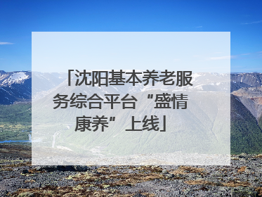 沈阳基本养老服务综合平台“盛情康养”上线