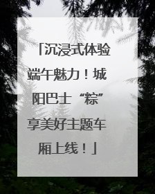 沉浸式体验端午魅力！城阳巴士“粽”享美好主题车厢上线！
