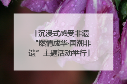 沉浸式感受非遗 “燃情成华·国潮非遗”主题活动举行