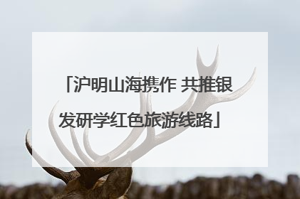 沪明山海携作 共推银发研学红色旅游线路