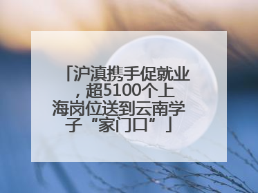 沪滇携手促就业，超5100个上海岗位送到云南学子“家门口”