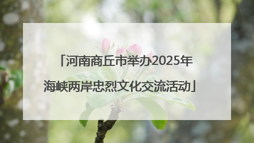 河南商丘市举办2025年海峡两岸忠烈文化交流活动