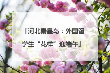 河北秦皇岛：外国留学生“花样”迎端午