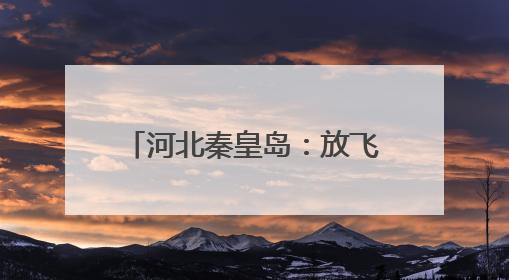 河北秦皇岛：放飞野生鸟类回归自然