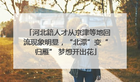 河北籍人才从京津等地回流现象明显，“北漂”变“归雁” 梦想开出花