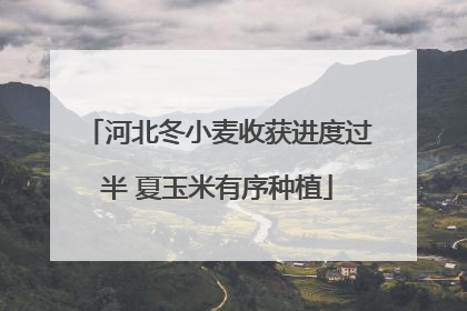 河北冬小麦收获进度过半 夏玉米有序种植