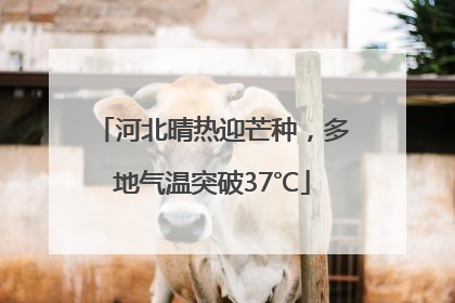 河北晴热迎芒种，多地气温突破37℃