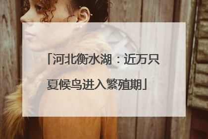 河北衡水湖：近万只夏候鸟进入繁殖期