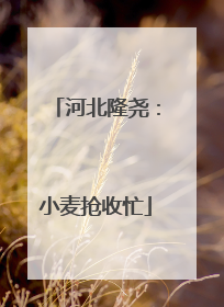 河北隆尧：小麦抢收忙
