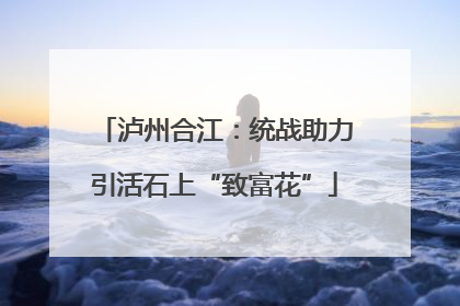 泸州合江：统战助力引活石上“致富花”