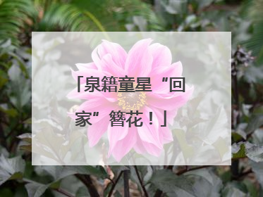泉籍童星“回家”簪花！
